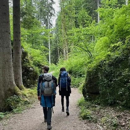 Foto bij de beoordeling: Onvergetelijke en bijzondere ervaring.